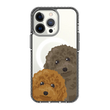2317-iphone-13-pro-golden-case-magsafe-compatible-transparent-black