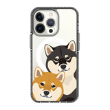 2318-iphone-13-pro-golden-case-magsafe-compatible-transparent-black