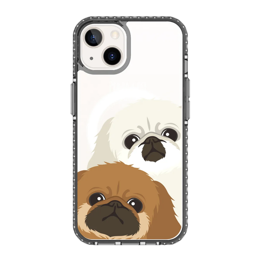 2322-iphone-13-golden-case-magsafe-compatible-transparent-black
