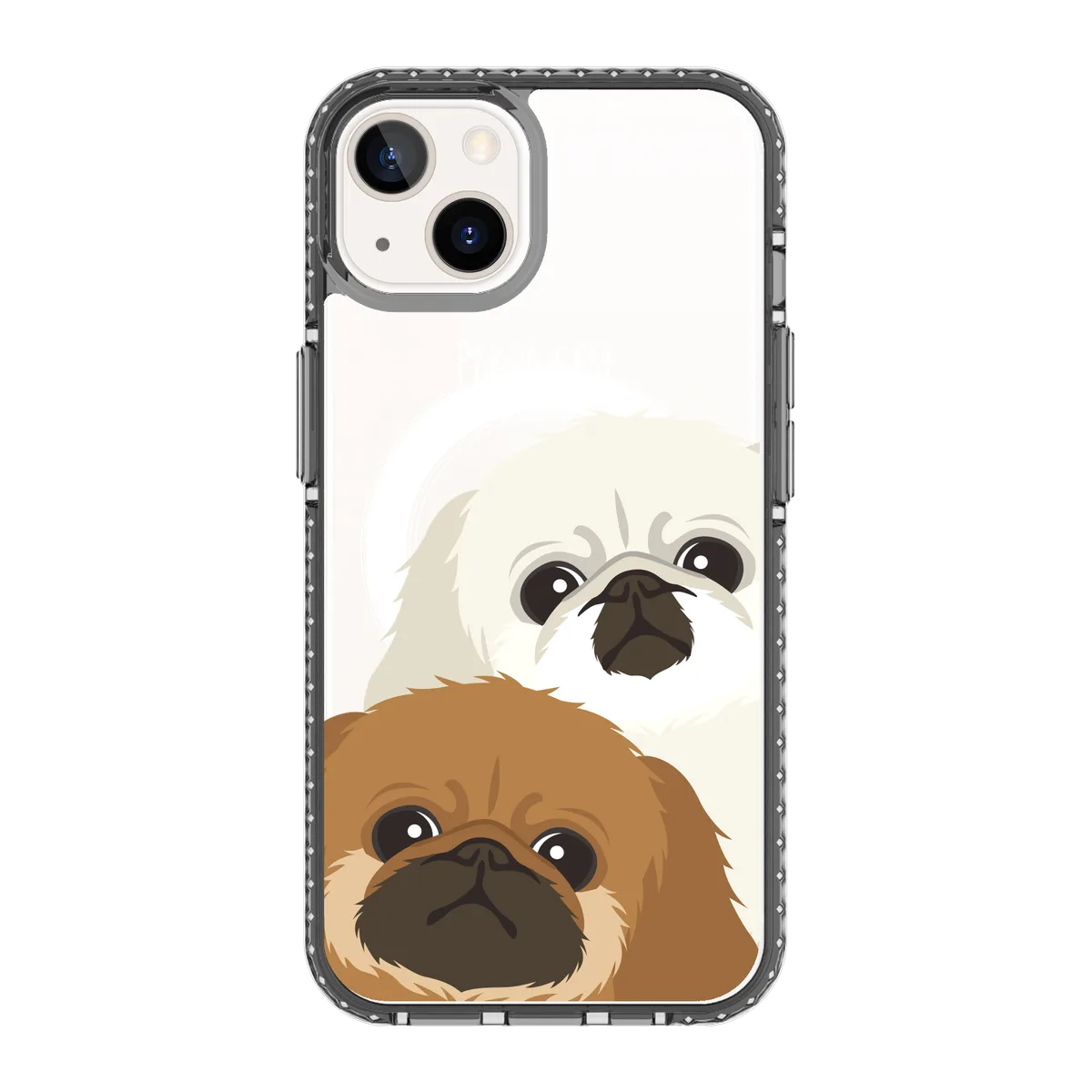2322-iphone-13-golden-case-magsafe-compatible-transparent-black