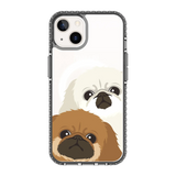 2322-iphone-13-golden-case-magsafe-compatible-transparent-black