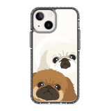 2322-iphone-13-mini-golden-case-magsafe-compatible-transparent-black