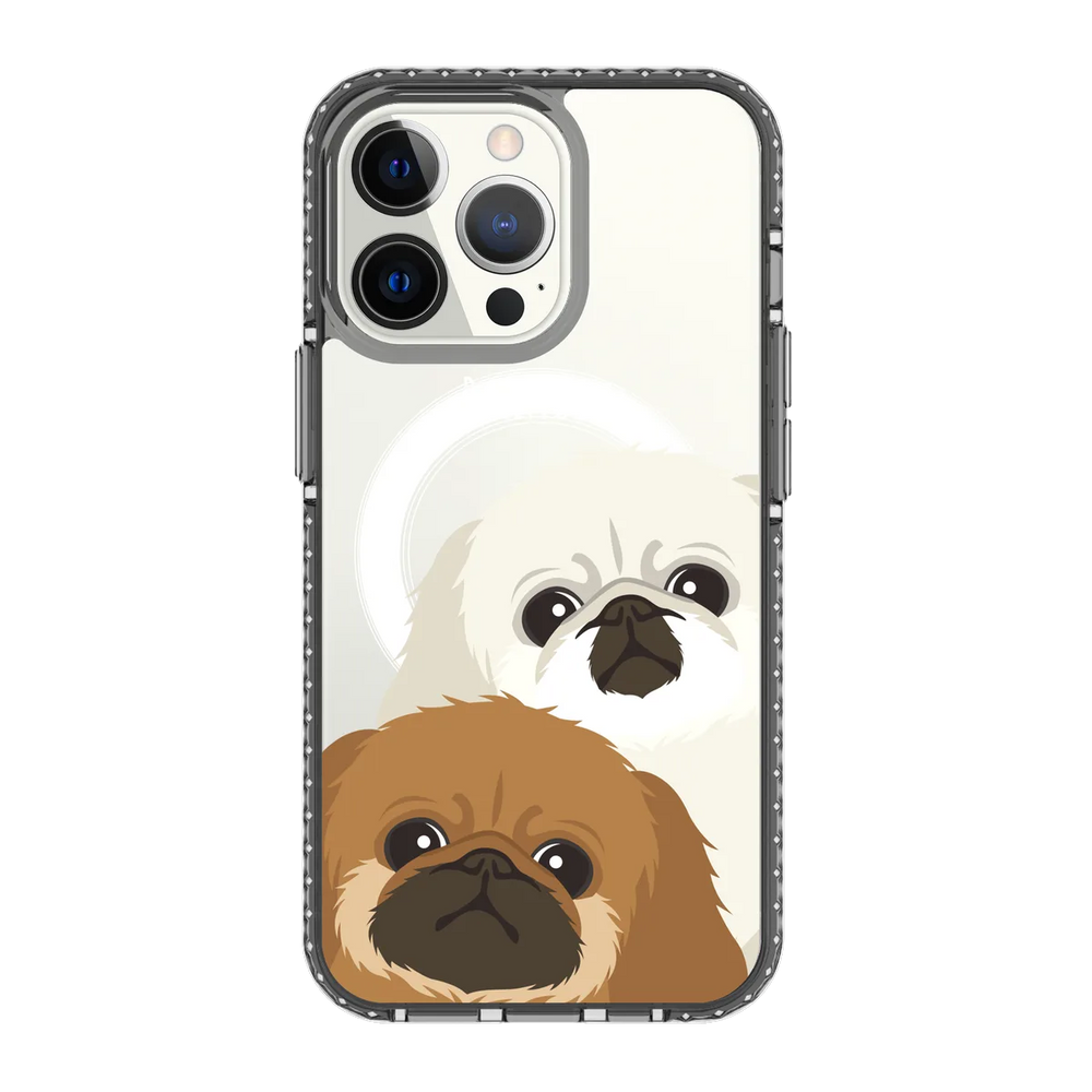 2322-iphone-13-pro-golden-case-magsafe-compatible-transparent-black