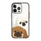 2322-iphone-13-pro-golden-case-magsafe-compatible-transparent-black