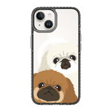 2322-iphone-14-golden-case-magsafe-compatible-transparent-black