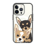 2323-iphone-13-pro-golden-case-magsafe-compatible-transparent-black