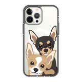 2323-iphone-13-pro-max-golden-case-magsafe-compatible-transparent-black