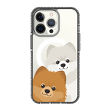 2325-iphone-13-pro-golden-case-magsafe-compatible-transparent-black
