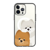 2325-iphone-13-pro-max-golden-case-magsafe-compatible-transparent-black