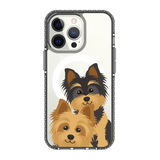 2327-iphone-13-pro-golden-case-magsafe-compatible-transparent-black