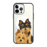 2327-iphone-13-pro-max-golden-case-magsafe-compatible-transparent-black
