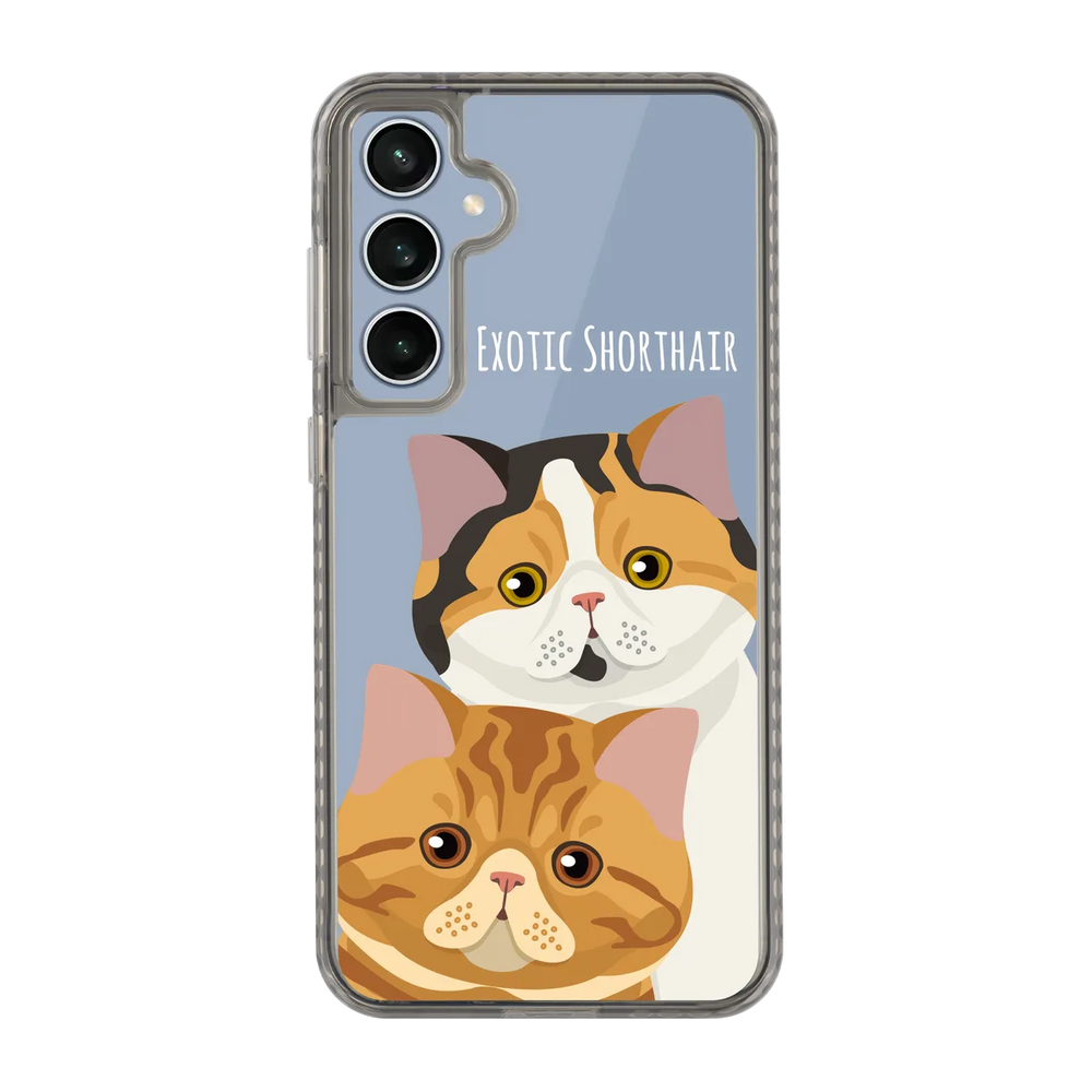 2337-galaxy-s23-fe-golden-case-transparent-black