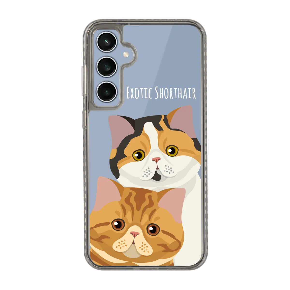 2337-galaxy-s23-fe-golden-case-transparent-black