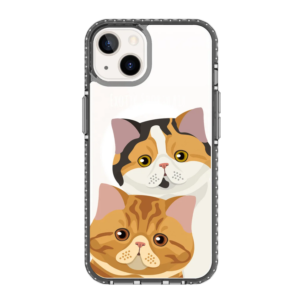 2337-iphone-13-golden-case-magsafe-compatible-transparent-black