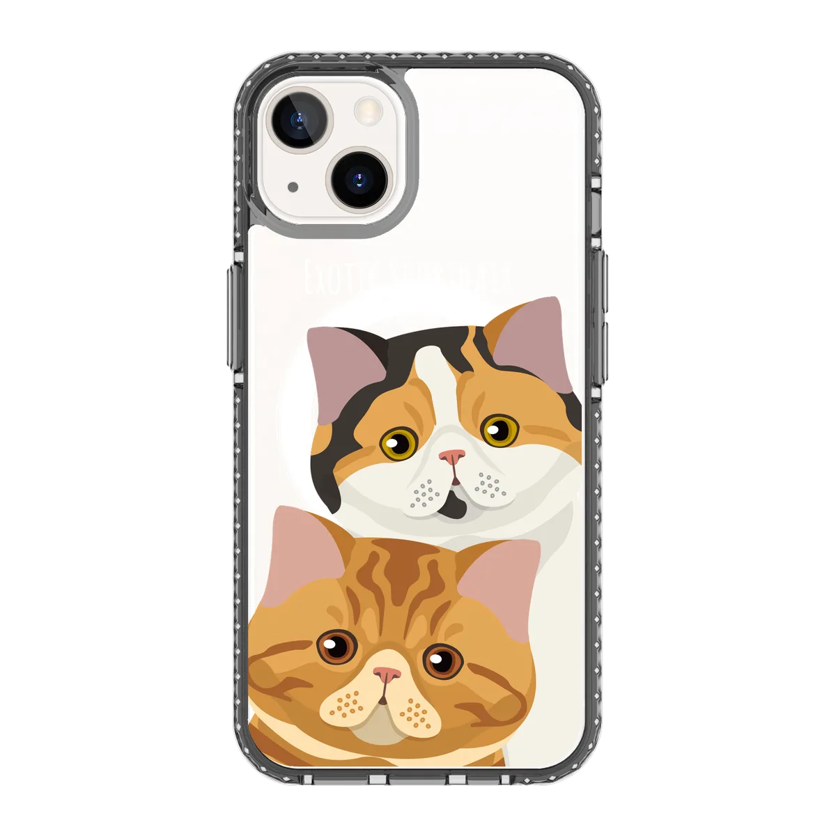 2337-iphone-13-golden-case-magsafe-compatible-transparent-black