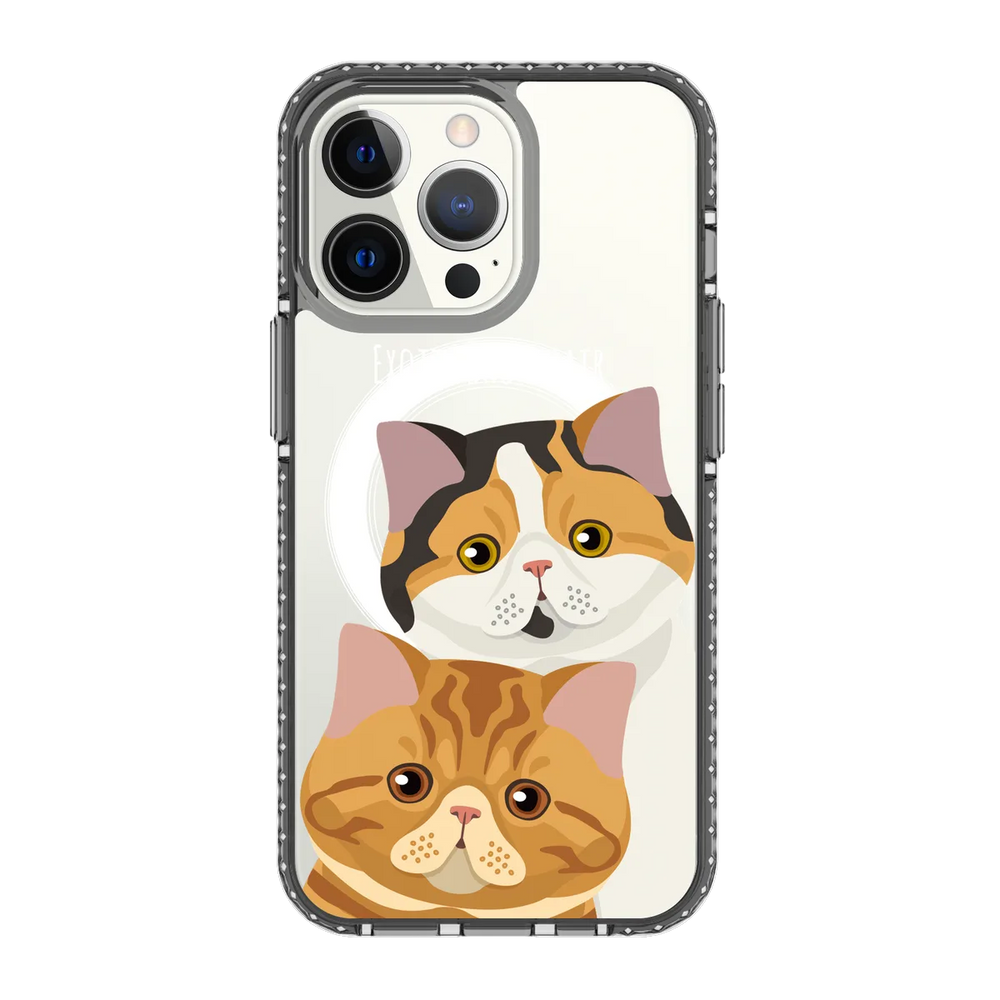 2337-iphone-13-pro-golden-case-magsafe-compatible-transparent-black