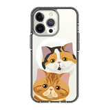 2337-iphone-13-pro-golden-case-magsafe-compatible-transparent-black