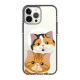 2337-iphone-13-pro-max-golden-case-magsafe-compatible-transparent-black