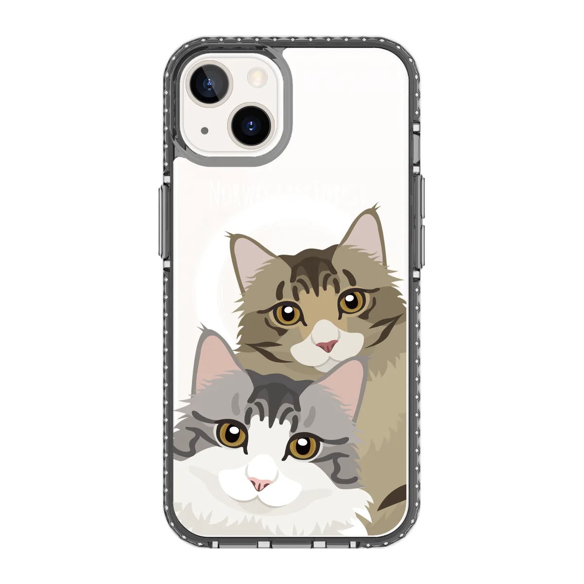 2338-iphone-13-golden-case-magsafe-compatible-transparent-black