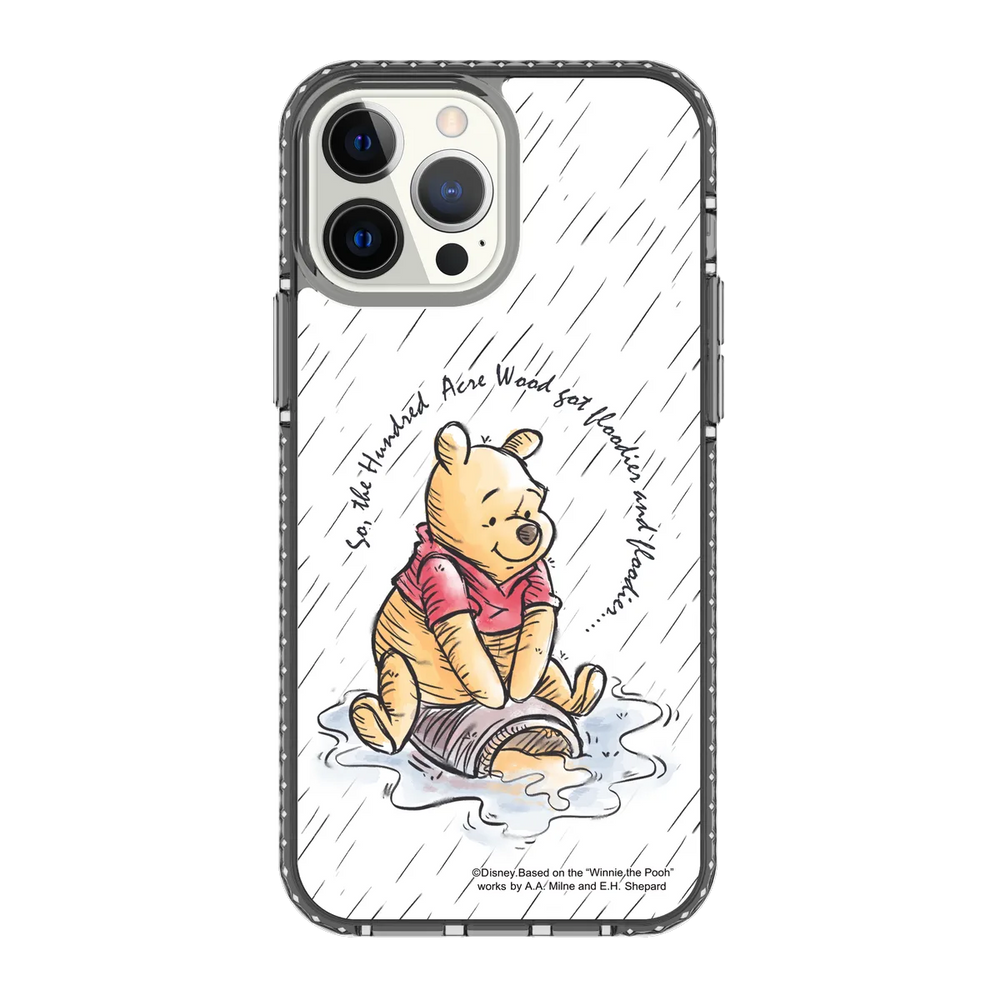 3526-iphone-13-pro-max-golden-case-magsafe-compatible-transparent-black