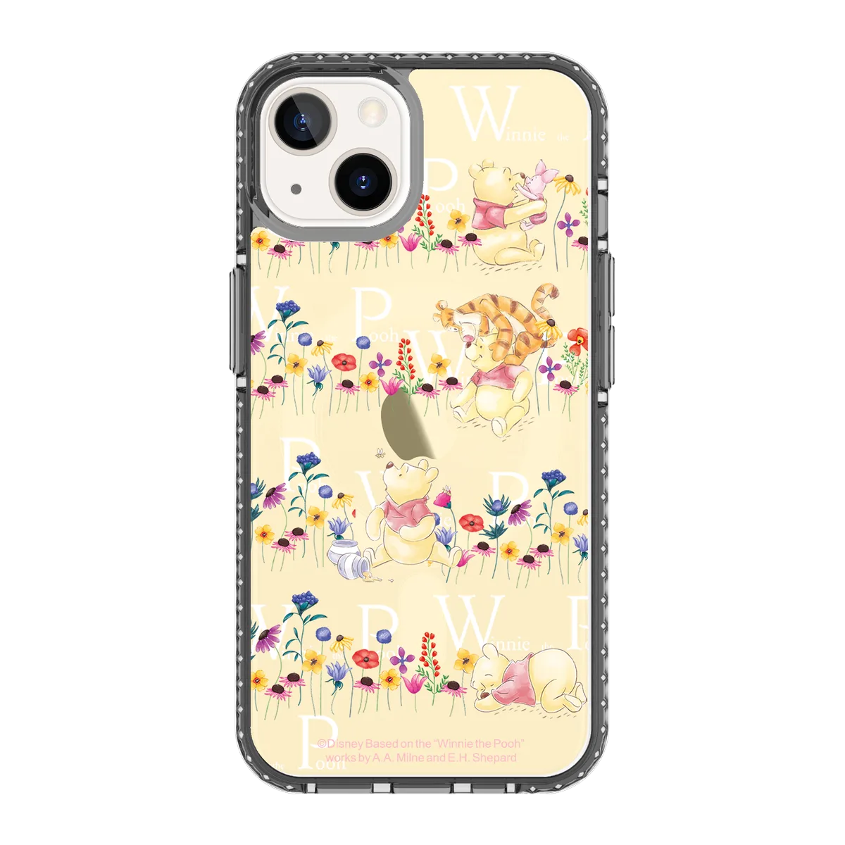 4184-iphone-13-golden-case-magsafe-compatible-transparent-black