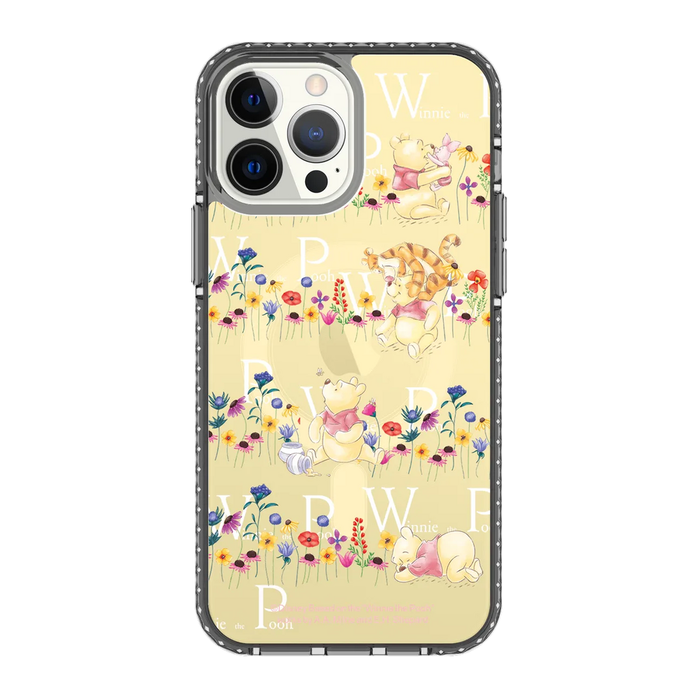 4184-iphone-13-pro-max-golden-case-magsafe-compatible-transparent-black