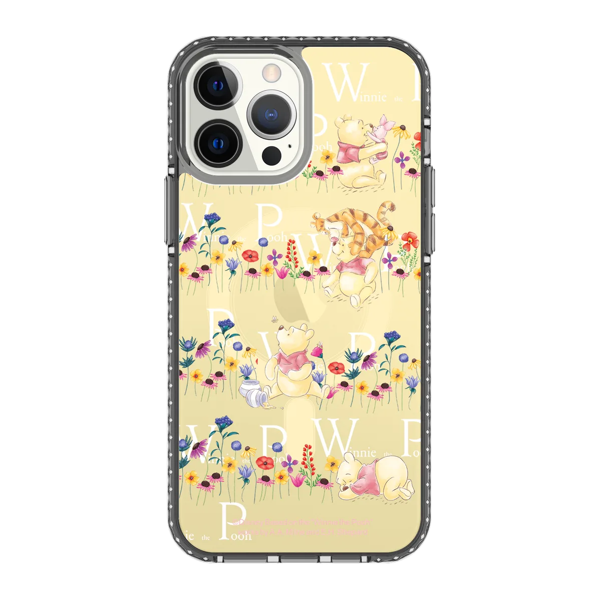 4184-iphone-13-pro-max-golden-case-magsafe-compatible-transparent-black