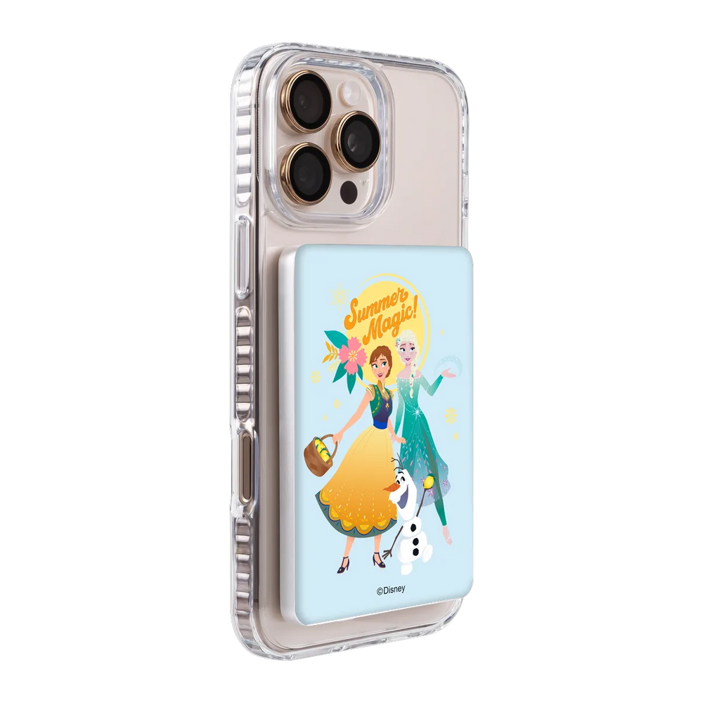 4811792-ps501-ccc-pb-silver