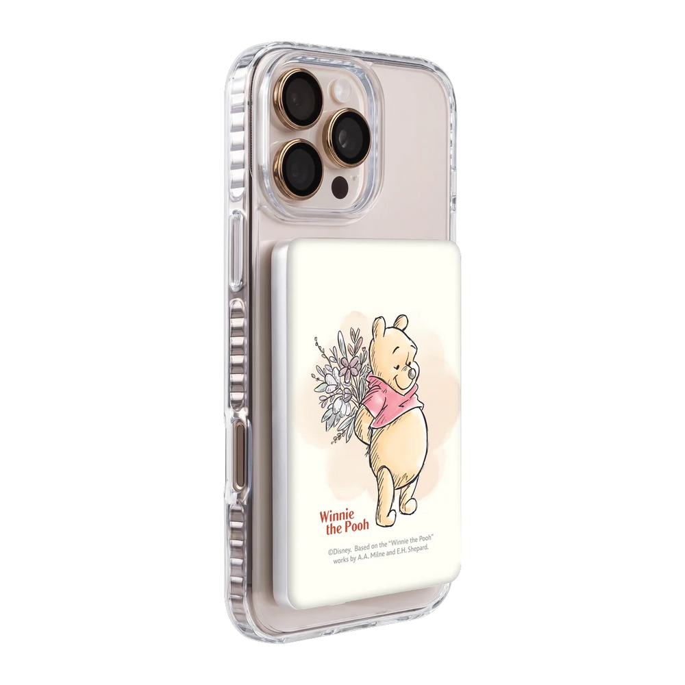 4811793-ps501-ccc-pb-silver