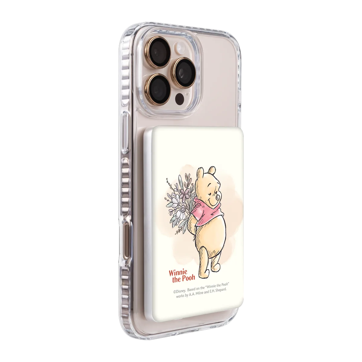 4811793-ps501-ccc-pb-silver