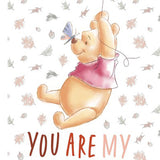 4920 Winnie the Pooh