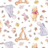 4921 Winnie the Pooh Family