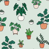 5259 Houseplants