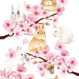 5359 Bunnies with Sakura