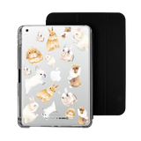 5360-ipad-10-2-inch-ipad-detachable-clear-case-black