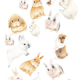 5360 Bunnies