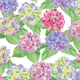 5424 Hydrangea