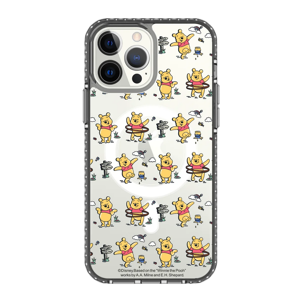 5482-iphone-13-pro-max-golden-case-magsafe-compatible-transparent-black