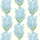 5574 Striped Squill Flower
