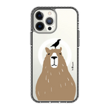 5593-iphone-13-pro-max-golden-case-magsafe-compatible-transparent-black