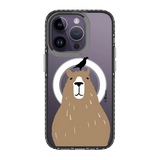 5593-iphone-14-pro-golden-case-magsafe-compatible-transparent-black