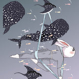 5603 JujuBe Ocean