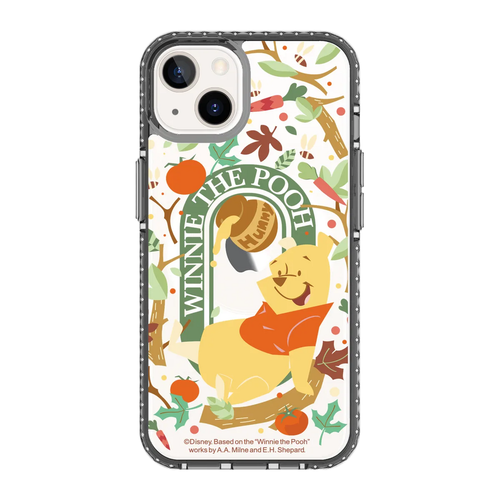 5641-iphone-13-golden-case-magsafe-compatible-transparent-black