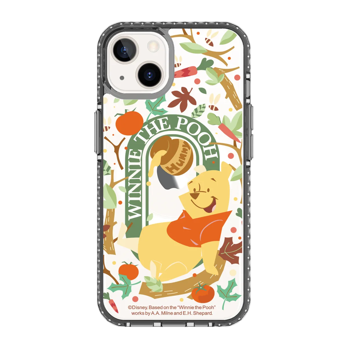 5641-iphone-13-golden-case-magsafe-compatible-transparent-black
