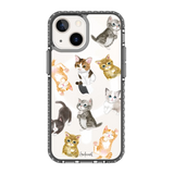 5648-iphone-13-mini-golden-case-magsafe-compatible-transparent-black