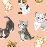 5648 All Kittens