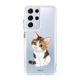 5649-galaxy-s21-ultra-hybrid-plus-transparent