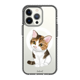 5649-iphone-13-pro-golden-case-magsafe-compatible-transparent-black