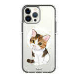 5649-iphone-13-pro-max-golden-case-magsafe-compatible-transparent-black
