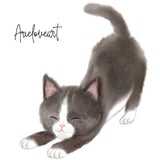 5650 Black Kitten